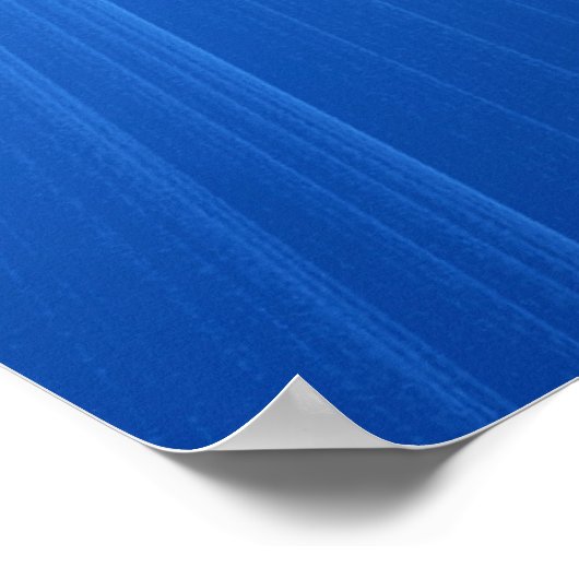 Megalodon Print (Hoek)