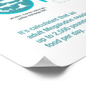 Megalodon Shark - Diller Facts! 24x36 inch Poster (Hoek)