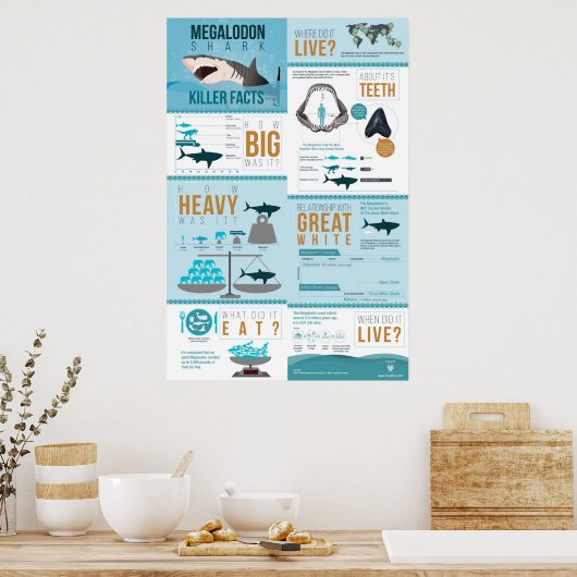 Megalodon Shark - Diller Facts! 24x36 inch Poster (Keuken)