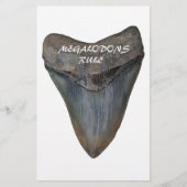 Megalodon Shark Tooth Briefpapier (Voorkant)