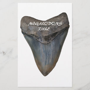 Megalodon Shark Tooth Briefpapier