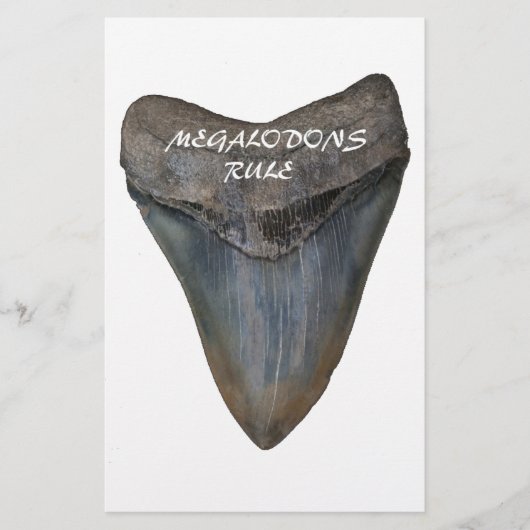 Megalodon Shark Tooth Briefpapier (Voorkant)