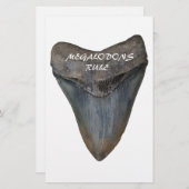 Megalodon Shark Tooth Briefpapier (Voorkant / Achterkant)