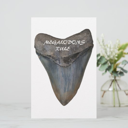 Megalodon Shark Tooth Briefpapier (Staand voorkant)