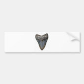 Megalodon Shark Tooth Bumpersticker (Voorkant)