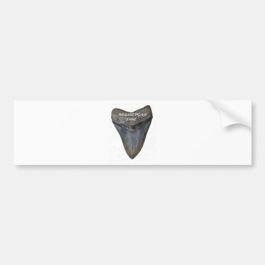 Megalodon Shark Tooth Bumpersticker (Voorkant)
