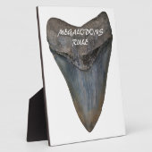 Megalodon Shark Tooth Fotoplaat (Zijkant)