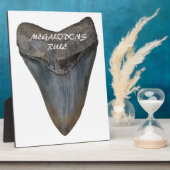 Megalodon Shark Tooth Fotoplaat (Zijkant)