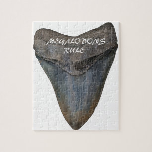 Megalodon Shark Tooth Legpuzzel