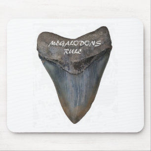 Megalodon Shark Tooth Muismat