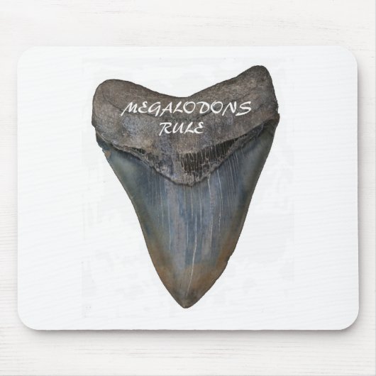 Megalodon Shark Tooth Muismat (Voorkant)