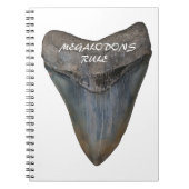 Megalodon Shark Tooth Notitieboek (Voorkant)