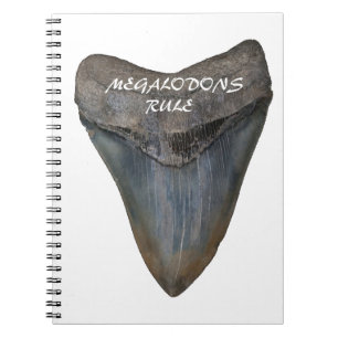 Megalodon Shark Tooth Notitieboek