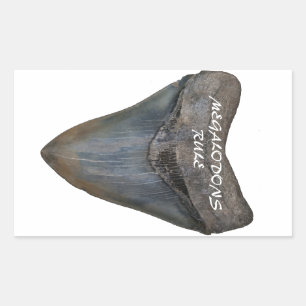 Megalodon Shark Tooth Rechthoekige Sticker