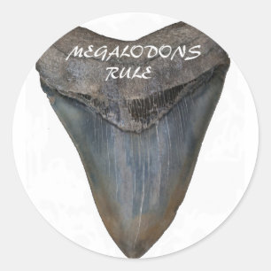 Megalodon Shark Tooth Ronde Sticker