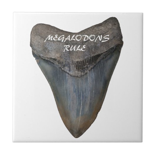 Megalodon Shark Tooth Tegeltje (Voorkant)