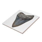 Megalodon Shark Tooth Tegeltje (Zijkant)