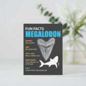 Megalodon shirt met grote gave voor liefhebbers va briefkaart (Staand voorkant)