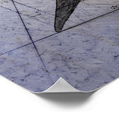 Megalodon sketch poster (Hoek)