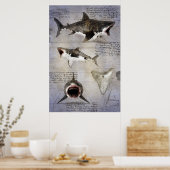 Megalodon sketch poster (Keuken)