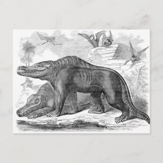 Megalosaurus Antiek afdrukken Briefkaart (Voorkant)