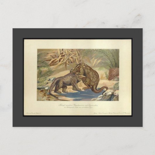 Megalosaurus VS Iguanodon Briefkaart (Voorkant)