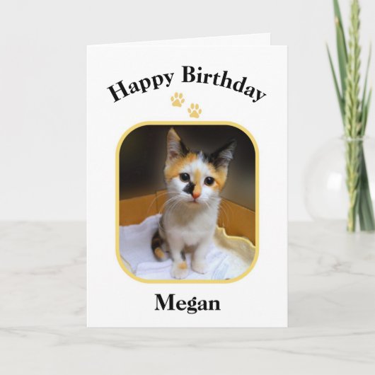 Megan Calico Kitten Happy Birthday Kaart (Voorkant)