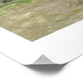 Megan's Truck in Almond Blossom Poster (Hoek)