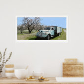 Megan's Truck in Almond Blossom Poster (Keuken)