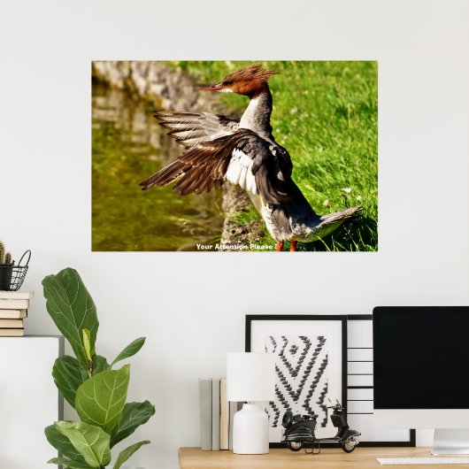 Meganser Duck Poster (Thuiskantoor)