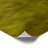 Meganser Eend Poster (Hoek)