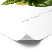 Megasea purpurascens (paarse saxifrage) poster (Hoek)