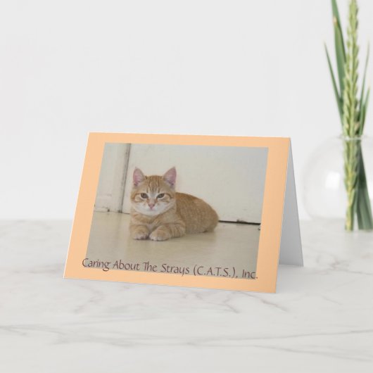 Meggie Notecards Kaart (Voorkant)