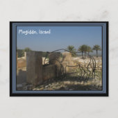 Megiddo Israel Briefkaart (Voorkant)