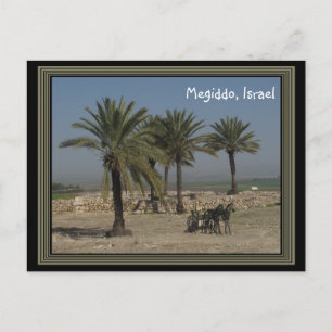 Megiddo Israel Postcard Briefkaart