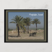 Megiddo Israel Postcard Briefkaart (Voorkant)