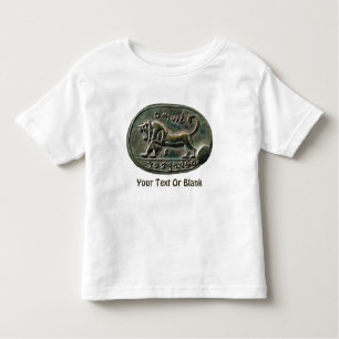 Megiddo Seal Kinder Shirts