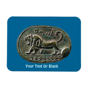 Megiddo Seal Magneet