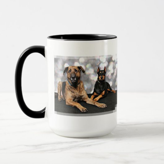 Megyan Doberman - Berkeley Mastiff X Mok (Links)