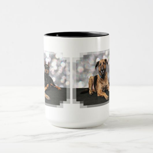 Megyan Doberman - Berkeley Mastiff X Mok (Midden)