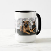 Megyan Doberman - Berkeley Mastiff X Mok (Voorkant rechts)