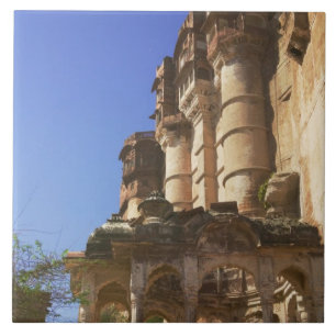 Meherangarh, het majestueuze fort, Jodhpur, Tegeltje