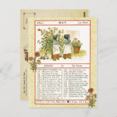 mei 1884 Almanac.  Gemini, de tweeling Briefkaart (Voorkant / Achterkant)