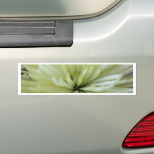Mei Bloemen #3 Bumpersticker (Op auto)