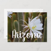 Mei in de tuin, Arizona Briefkaart (Voorkant / Achterkant)