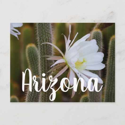 Mei in de tuin, Arizona Briefkaart (Voorkant)