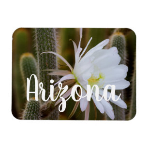 Mei in de tuin, Arizona Magneet