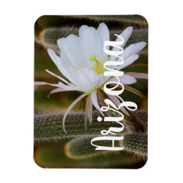 Mei in de tuin, Arizona Magneet