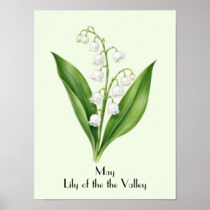 Mei Lelietje-van-dalen Bloemen Poster