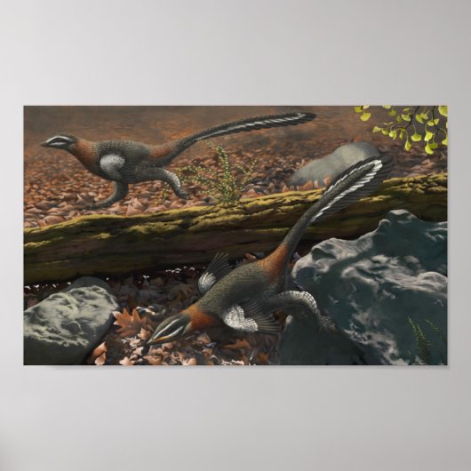 Mei Long Print (Voorkant)